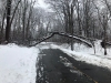 snow-ballfield