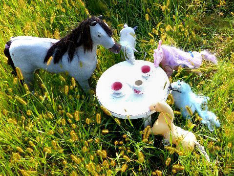 Harold McAleer's photo of some of the Lincoln ponies having a spot of tea. Click the image to see a gallery of photos in the Boston Globe. 