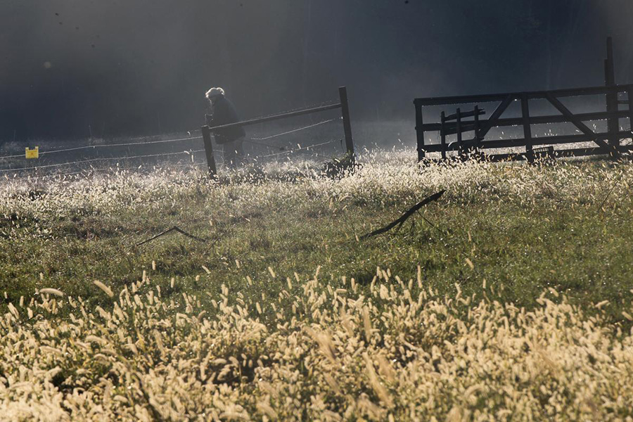 Ellen Raja repaired a fence where sheep graze in Lincoln. (Photo by Joanne Rathe/Boston Globe Staff)