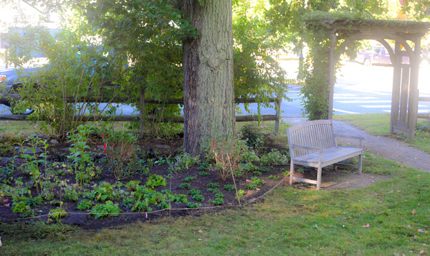 The new flower bed at Station Park.