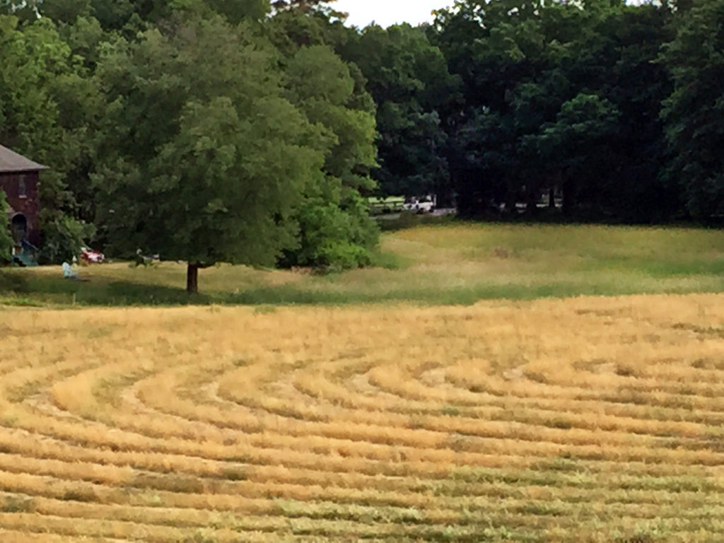 Just for fun, Sarah Canon Holden and her five-year-old grandson cut her field at the corner of Weston and Silver Hill Roads in concentric circles, leaving uncut rows in between. Sometime in the next few days, she;ll finish the cutting, but in the meanwhile residents are welcome to walk on the path at the side of the field.